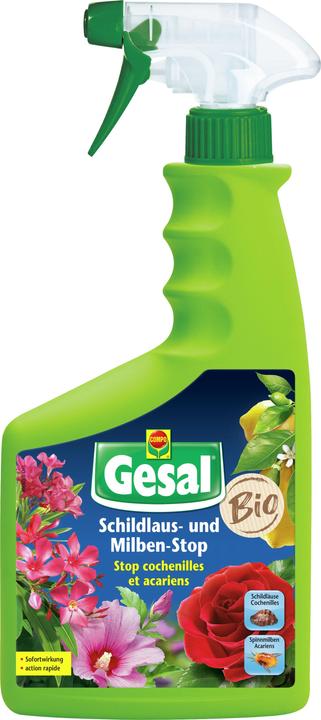 Produktbild Gesal Stop cochenilles et acariens liq (Schildläuse, Spinnmilben)