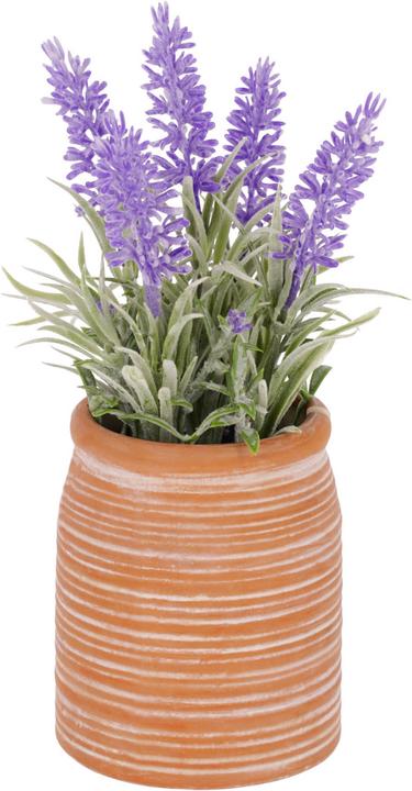 Immagine prodotto Kave Home Lavanda (22 cm)