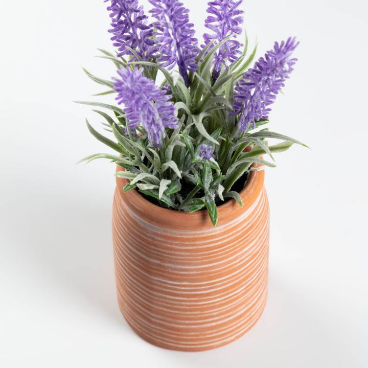 Immagine prodotto Kave Home Lavanda (22 cm)