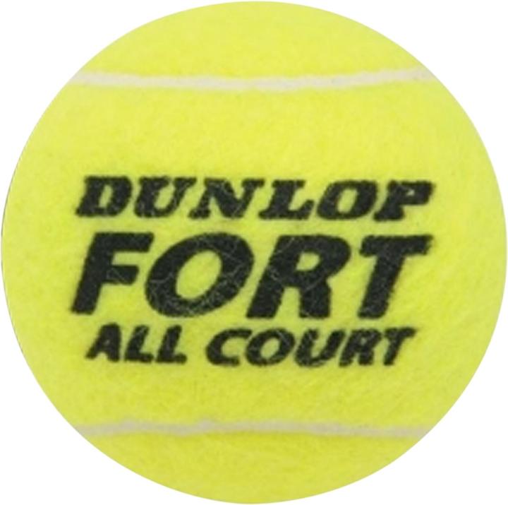 Image du produit Dunlop Fort All Court