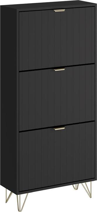 Actual product image Vichy Schuhschrank Helge, Schwarz, 60 x 128.5 cm 3 Fächer