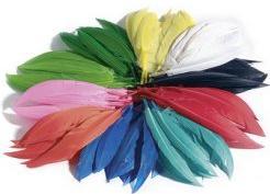 Immagine prodotto Folia Piume indiane, 100 g, colori assortiti