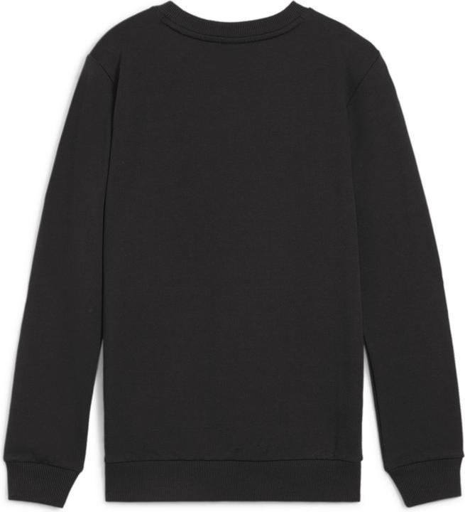 Actual product image Puma teamGOAL Casuals Crew Neck Sweat Jr (140)