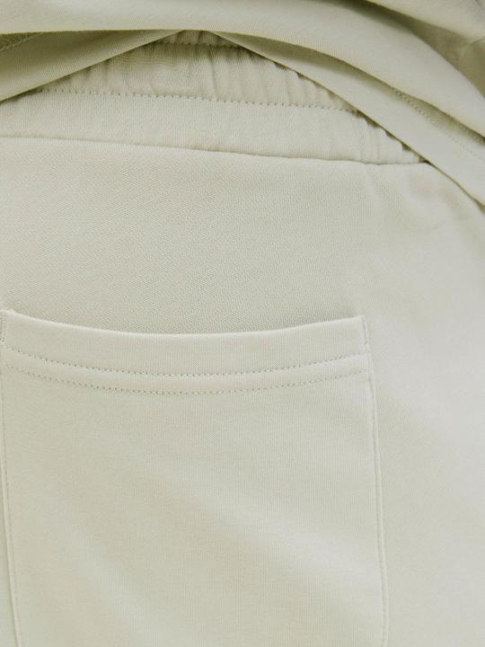 Actual product image Jack & Jones Jpstkane Vesterbro Sweat Shorts Mid Sn (M)