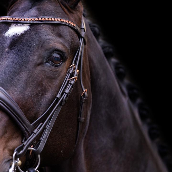 Immagine prodotto Imperial Riding Fria