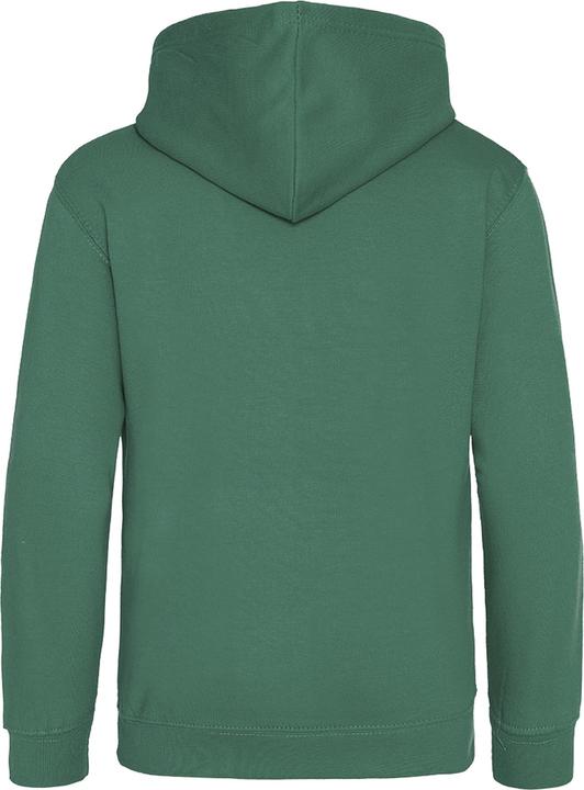 Actual product image Awdis Hooded jumper (98)