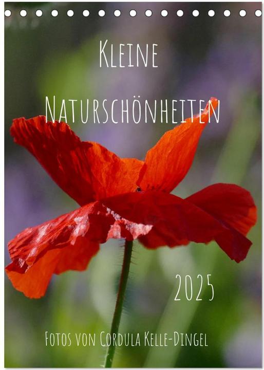 Actual product image Kleine Naturschönheiten (Tischkalender 2025 DIN A5 hoch), Monatskalender (A5, German)