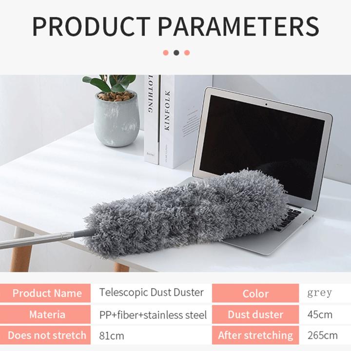 Produktbild Intirilife Staubwedel (1 Stk.)