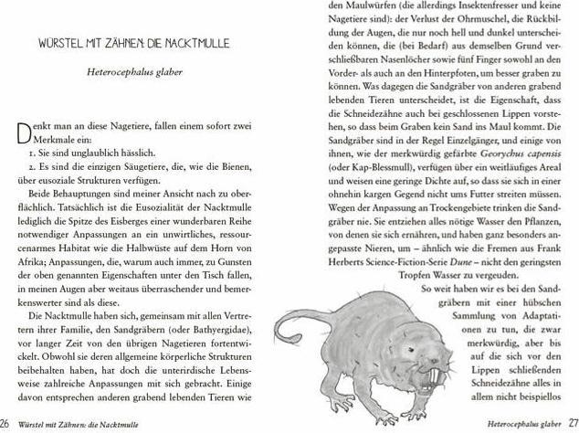 Produktbild Die seltsamsten Tiere der Welt – Skurrile Schöpfungen der Evolution. Tierporträts, die Darwin und (Deutsch, Lisa Signorile, 2019)