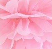 Produktbild Partydeco Tissue paper Pompom, light pink, 25cm (1 pkt / 1 pc.)