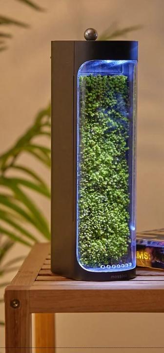 Image du produit Mosslab Air Humidifier Moss black
