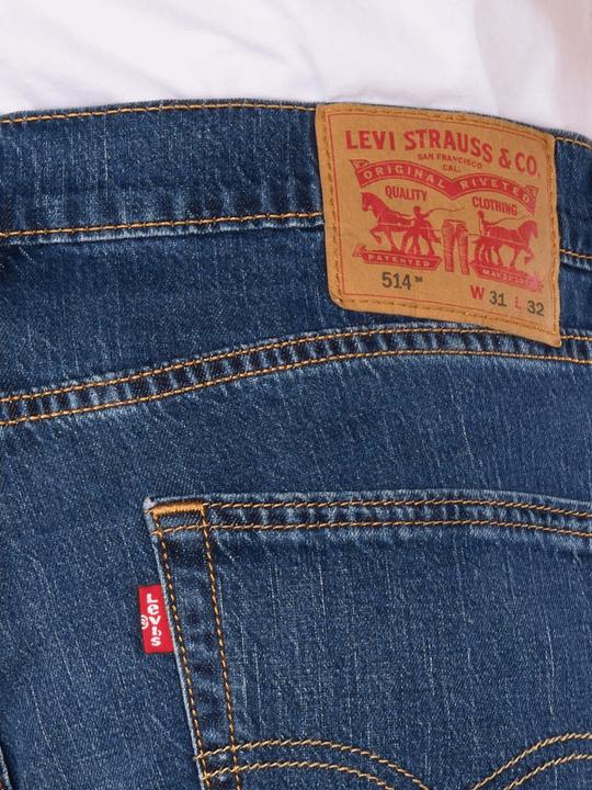 Actual product image Levis 10023441 (W31/L32)