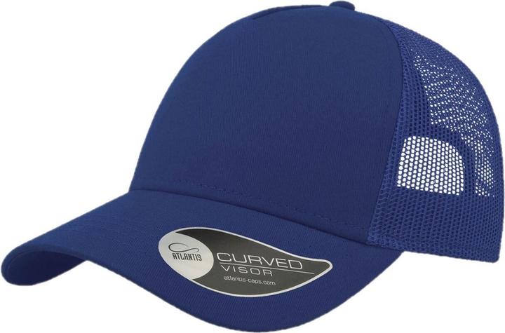 Bleu roi