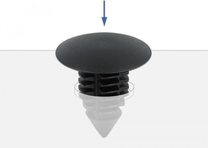 Actual product image Delock Fir Tree Clip black 10 pieces