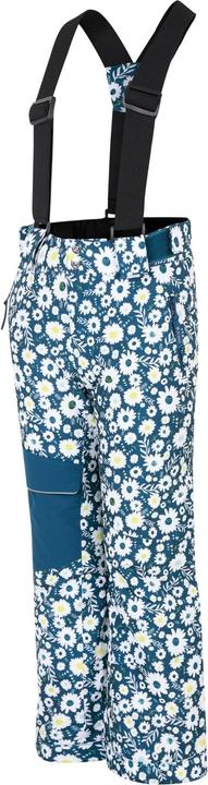 Image du produit Dare2b Pantalon de ski Pow Daisy pour enfants/Kids (158)
