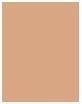 Produktbild Sensai Cellular Performance Total Finish Refill (TF13 Warm Beige)