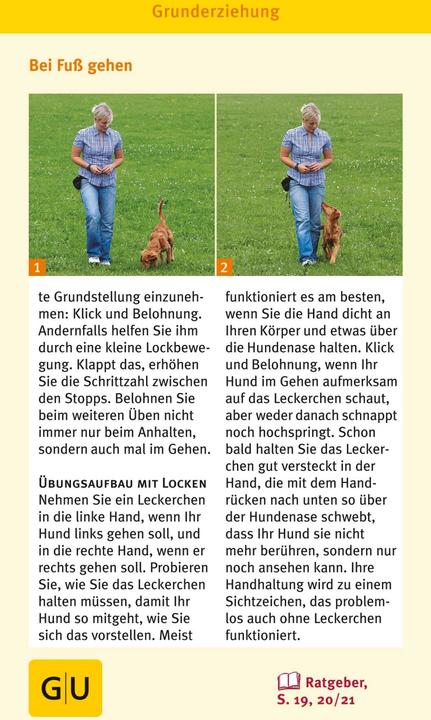 Actual product image Hunde Clicker-Box 36 Trainingskarten (German, Sabine Winkler, 2016)