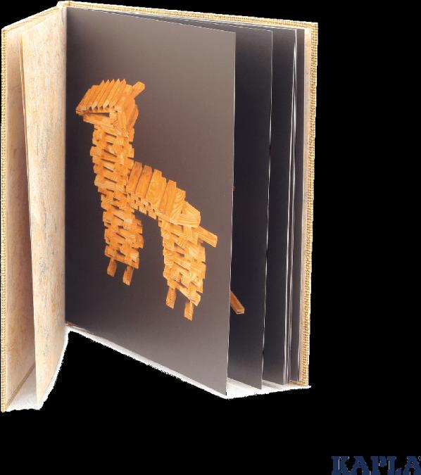 Image du produit Kapla Livre 4 beige