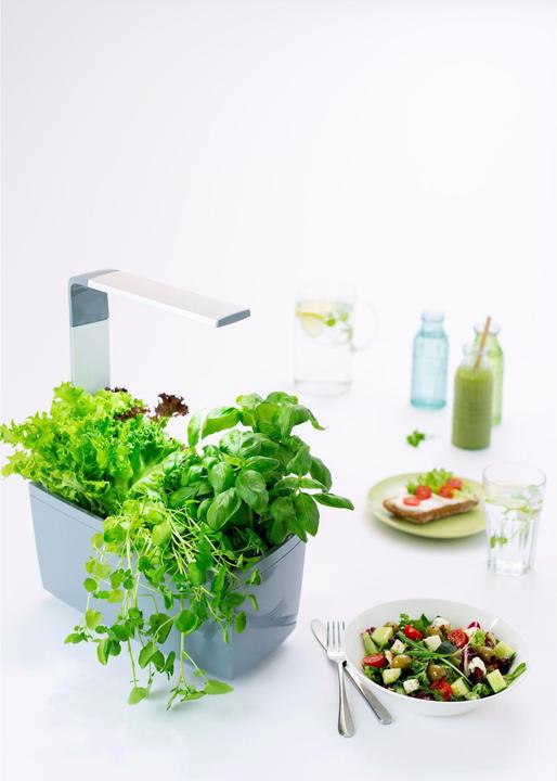 Immagine prodotto Tregren T6 Giardino d'inverno (17.50 cm)