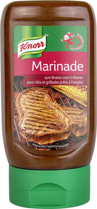 Actual product image Knorr Marinade for roasting and grilling, squeezer for marinating meat and poultry (356 g)