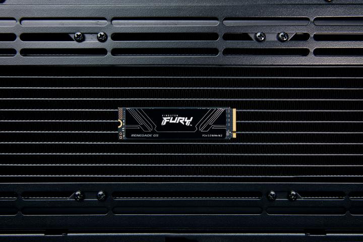 Actual product image Kingston FURY Renegade G5 (4096 GB, M.2 2280)