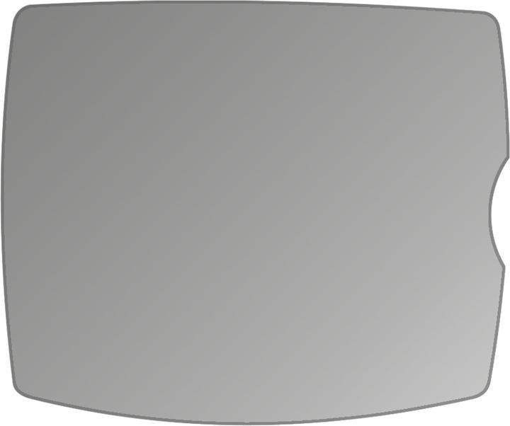 Actual product image Dipos Screen Protector 4-Way Privacy (Screen protector, Nikon D40x)