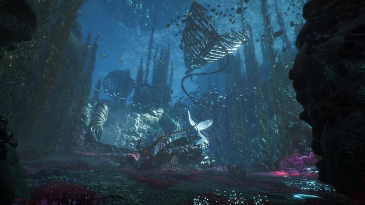 Image du produit Bandai Namco Clair Obscur: Expedition 33 (PS5, DE)
