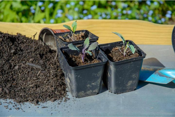 Actual product image Dobar Planting table