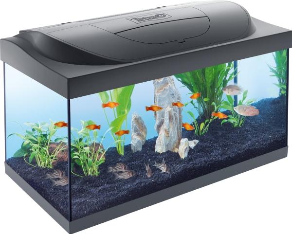 Actual product image Tetra StarterLine LED 54L (LED, 10 W)