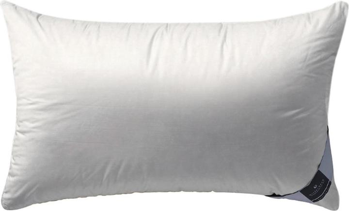 Immagine prodotto Billerbeck Ambiente (40 x 80 cm)