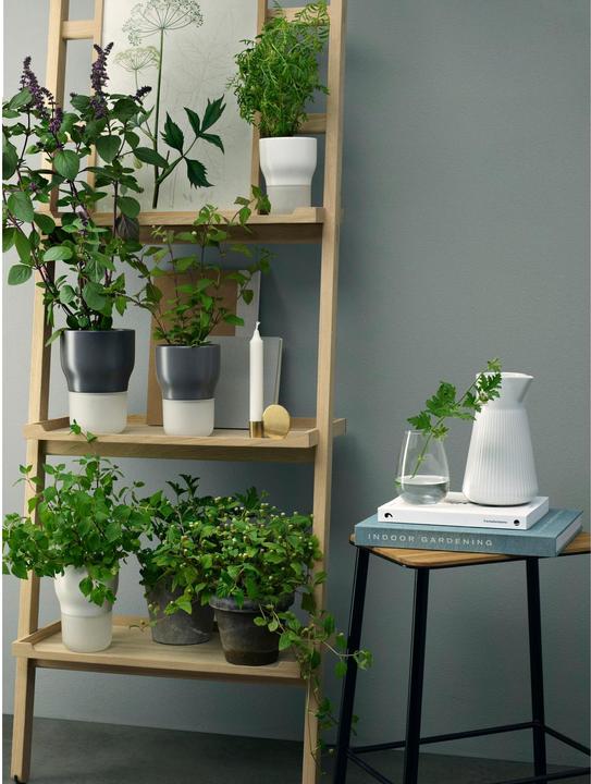 Image du produit Eva Solo Verre (0.48 l, 1 x)