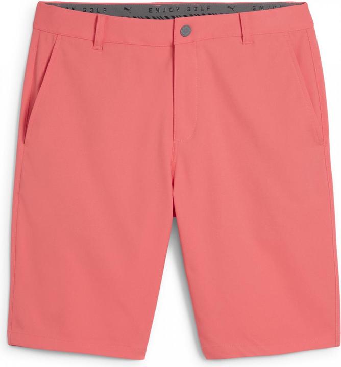 Actual product image Puma Dealer Short 10" (38)