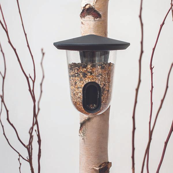 Actual product image SingingFriend Bird feeder feedR