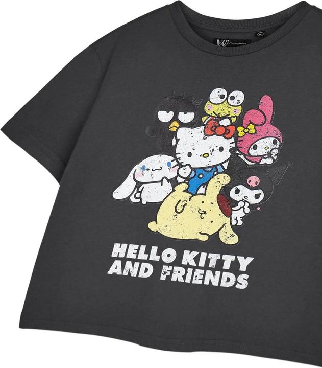 Produktbild Hello Kitty & Friends TShirt kurz geschnitten kurzärmlig (3XL)