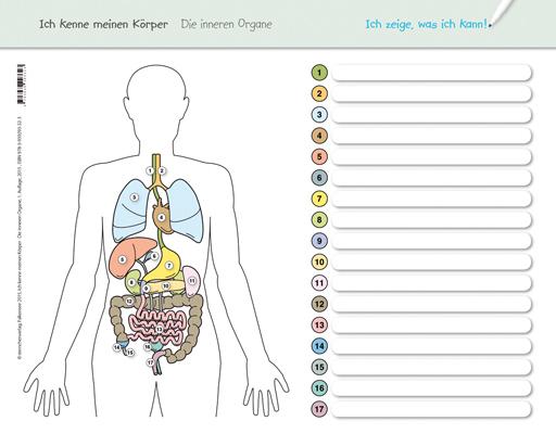 Produktbild Ich kenne meinen Körper - Die inneren Organe (Deutsch, Katrin Langhans, 2015)