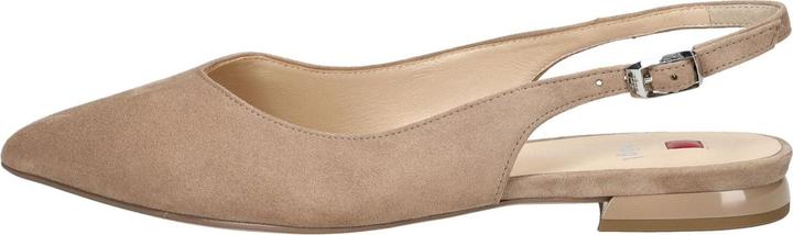 Produktbild Hogl 0-100112 (34.5)