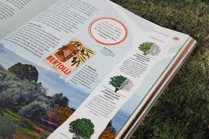 Image du produit Bäume - Eine Natur- und Kulturgeschichte (Allemand, Andrew Mikolajski, Michael Scott, Keith Rushforth, Dr. Ross Bayton, Agnes Pahler, 2022)
