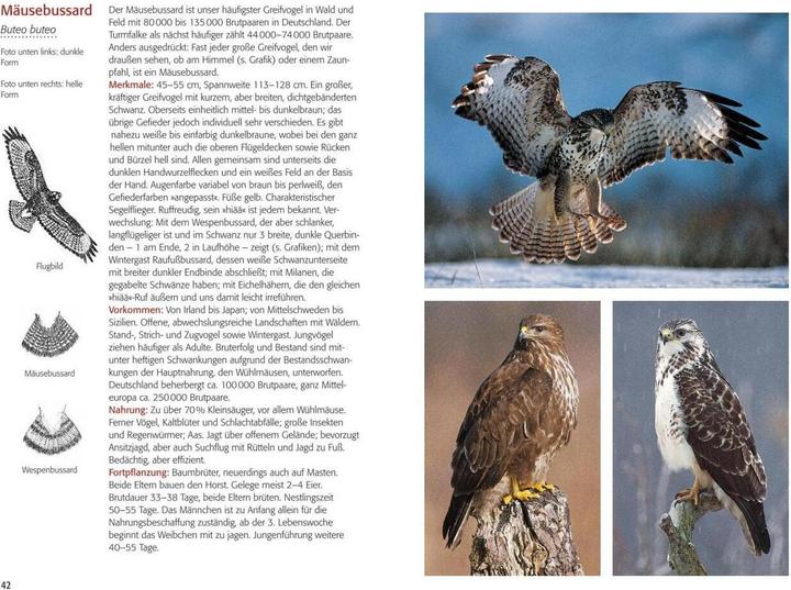 Immagine prodotto Greifvögel & Eulen (Tedesco, Walther Thiede, 2019)