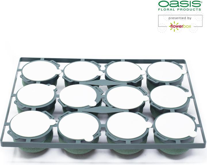 Image du produit Oasis Mini déco IDEAL
