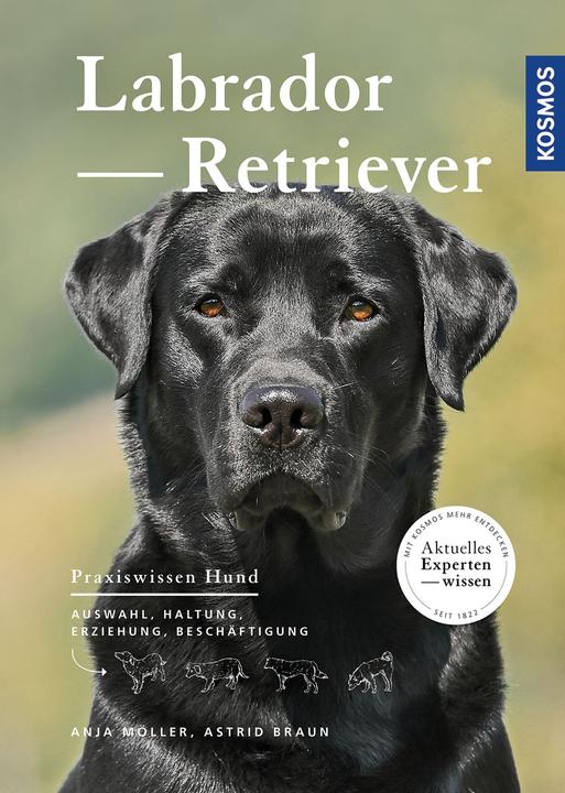 Immagine prodotto Kosmos Labrador Retriever (Tedesco, Anja Möller, 2016)