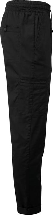 Produktbild Premier Recycelte Cargohose (L)