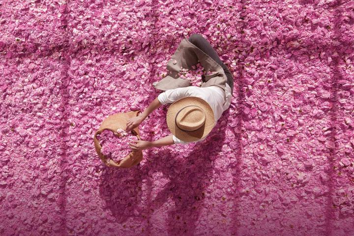 Image du produit Dior Absolutely Blooming (Eau de parfum, 50 ml)