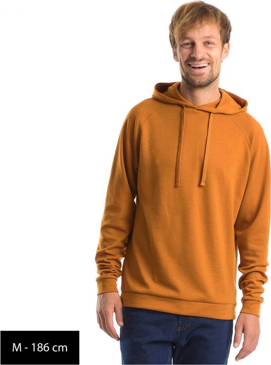 Actual product image Stoic Merino260 MMXX.Gothenburg Hoody (S)