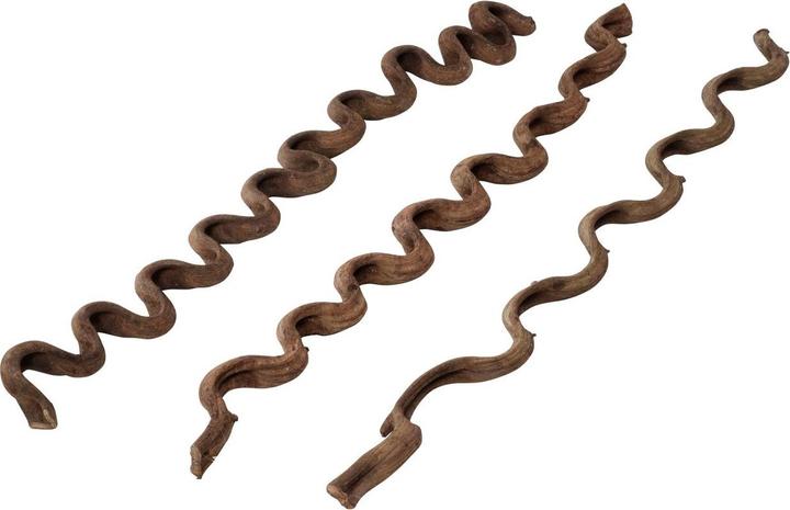 EBI Terra Della Deco wood Liana ml