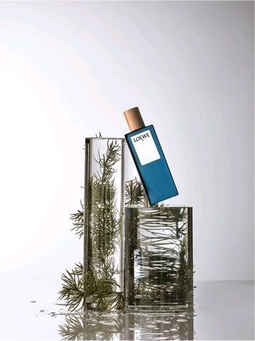 Immagine prodotto Loewe 7 Pour Homme Edt Spray (Eau de toilette, 50 ml)