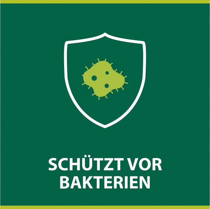 Produktbild Palmolive Hygiene-Plus Küchen-Handseife (Flüssigseife, 300 ml)