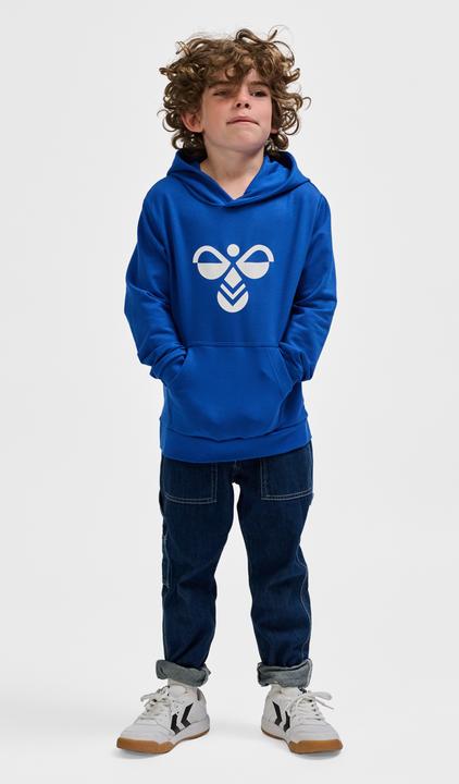 Image du produit hummel hmlCUATRO HOODIE (146)