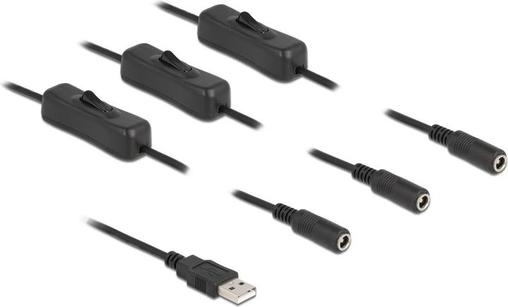 Actual product image Delock Cable USB type A plug to 3 x DC 5.5 x 2.1 mm socket with switch 1 m (1 m)