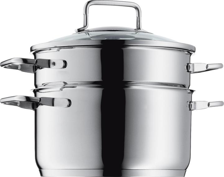 WMF Kochtopf Dampfgarer 20cm 2,5l Glasdeckel Metalleinsatz Edelstahl Induktion (20 cm, Dampfkochtopf)