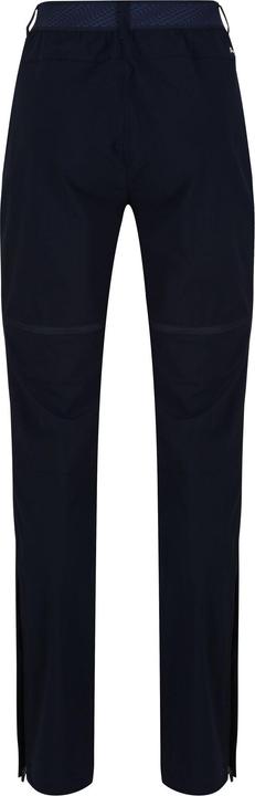 Actual product image Regatta Mountain Pants (42 D)